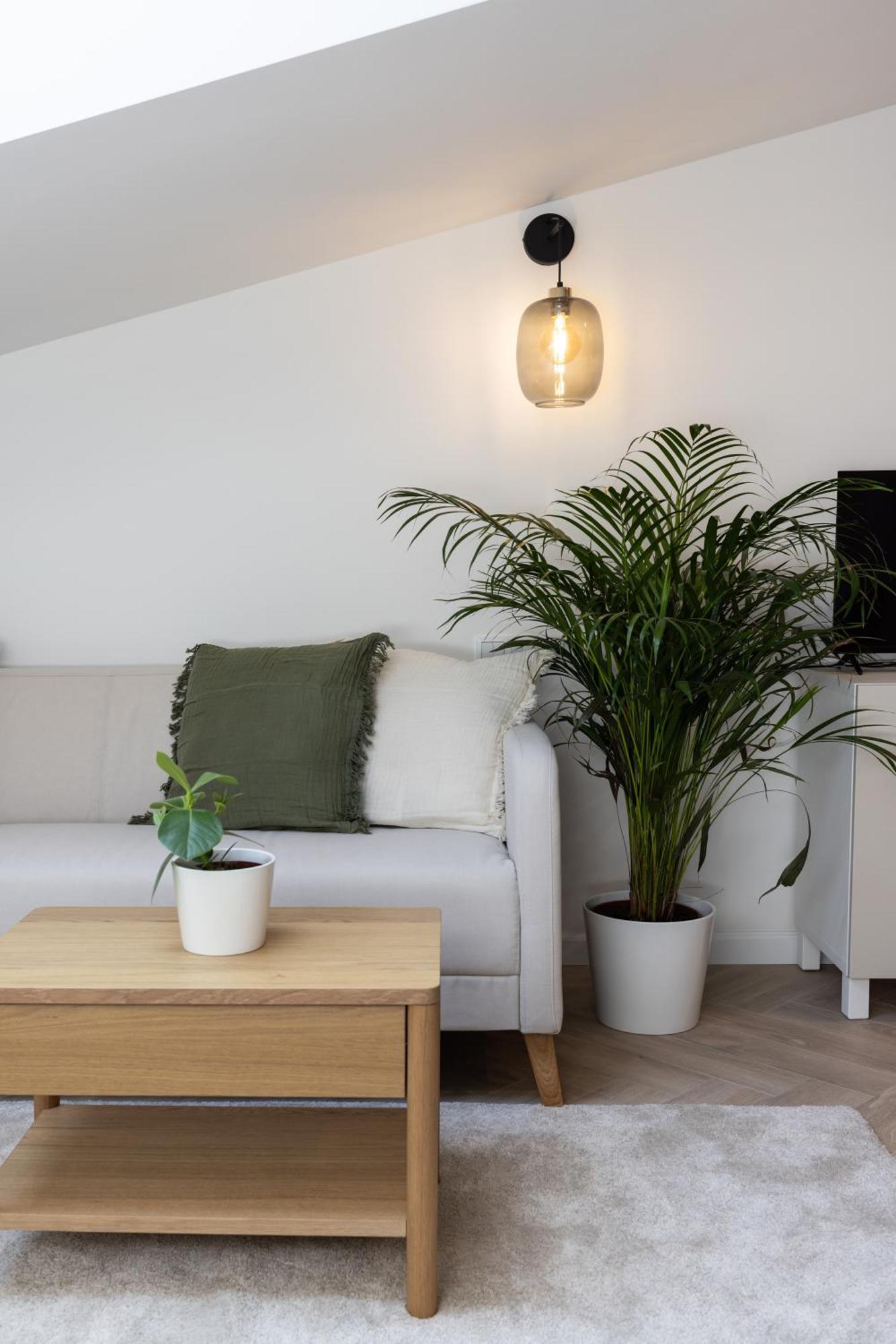 Premium With Air Conditioning For Couples In The Heart Of Krakow, Main Square